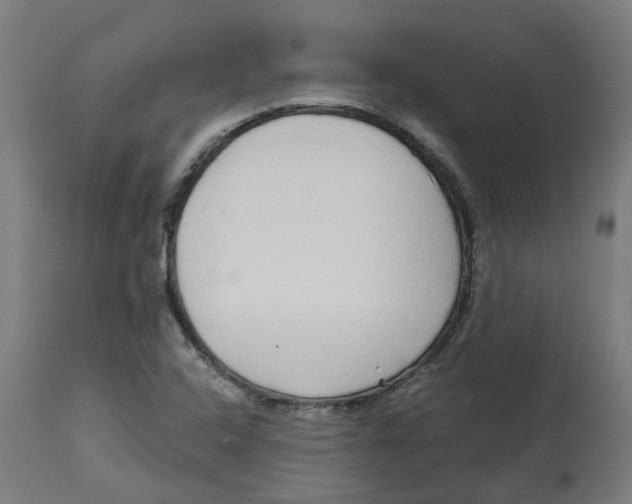 X0000112761408200909171239