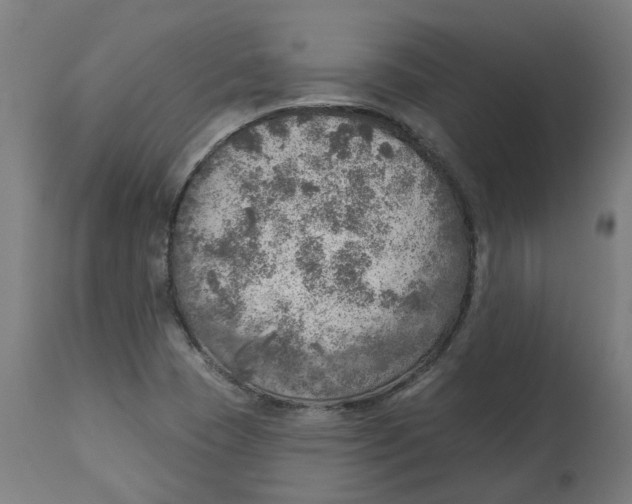 X0000112761409200909171239
