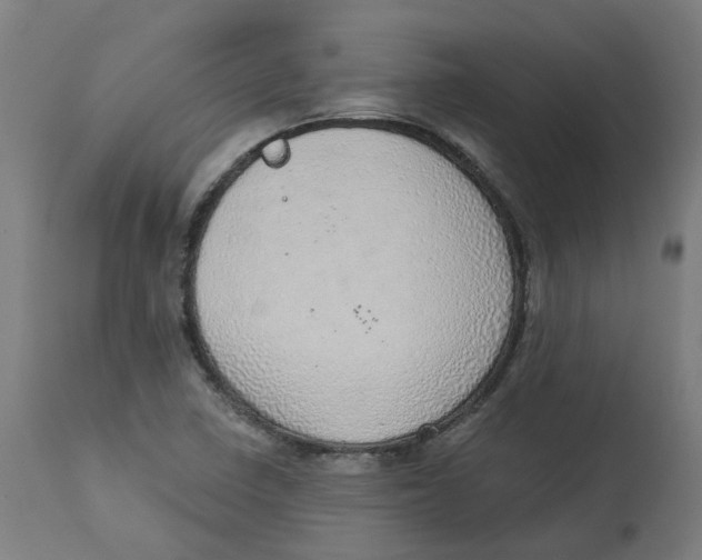 X0000112761410200909171239