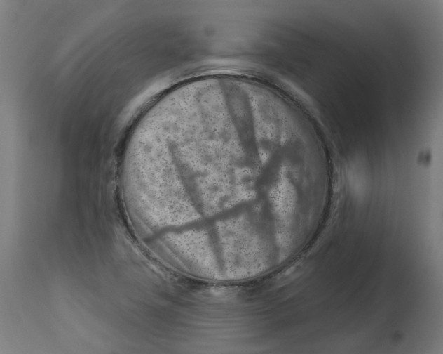 X0000112761411200909171239