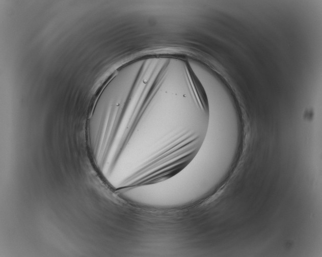 X0000112761417200909171239