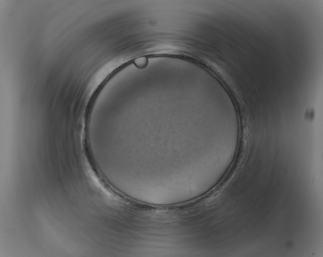 X0000112761418200909171239