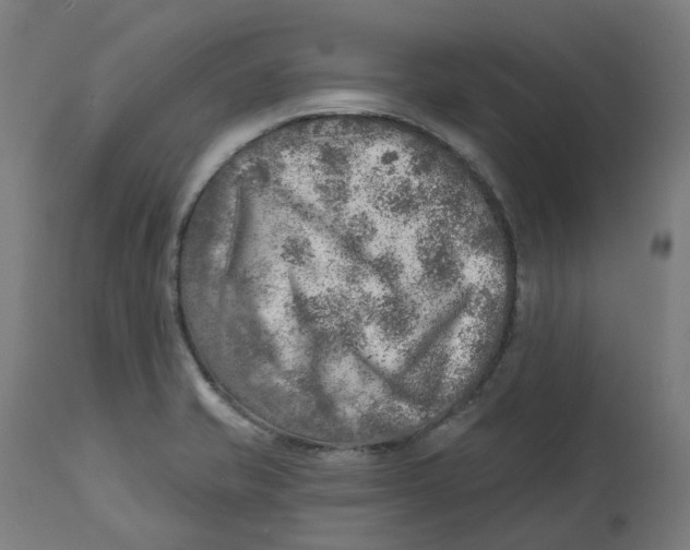 X0000112761421200909171239