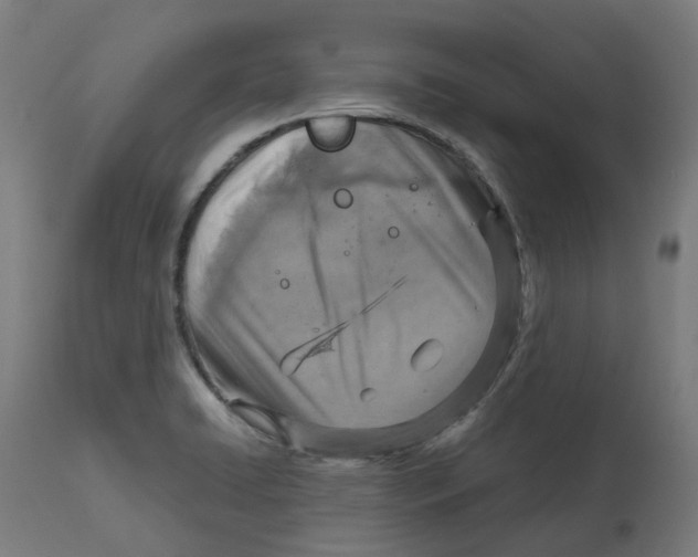 X0000112761422200909171239