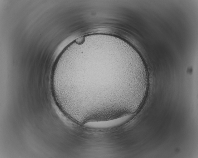 X0000112761426200909171239