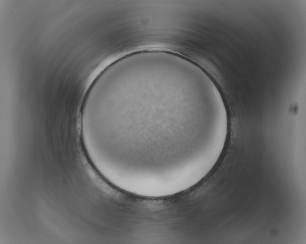 X0000112761428200909171239
