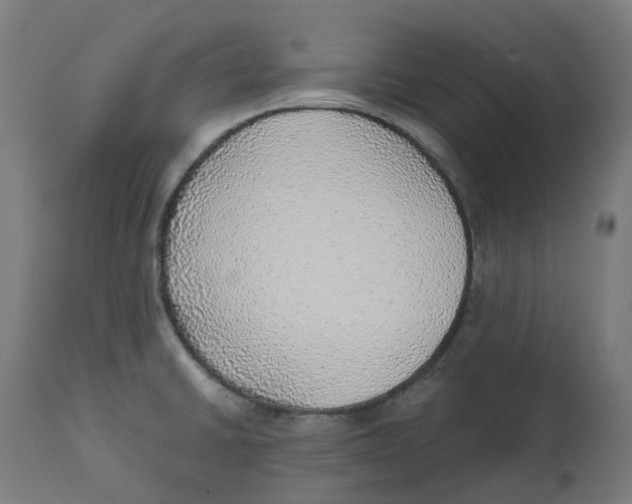X0000112761430200909171239