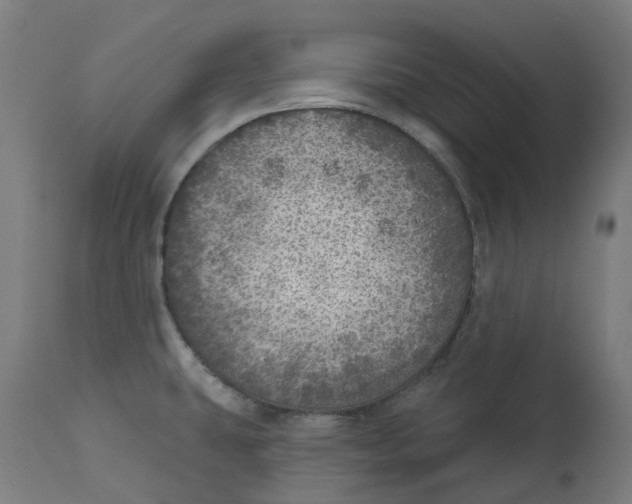 X0000112761431200909171239