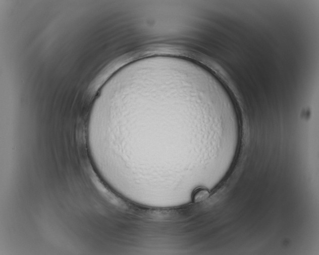 X0000112761433200909171239