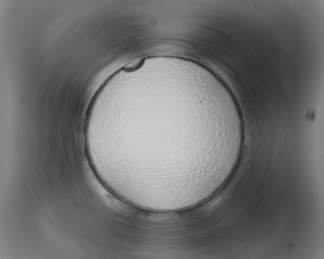 X0000112761434200909171239