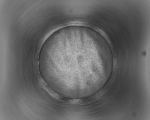 X0000112761435200909171239