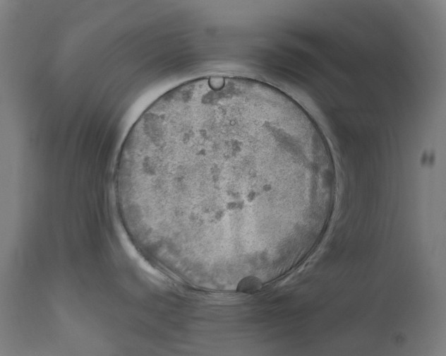 X0000112761440200909171239