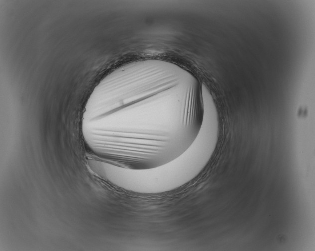 X0000112761441200909171239