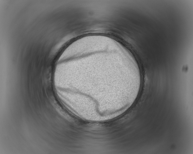 X0000112761450200909171239