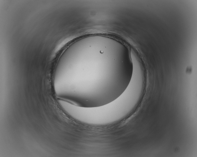 X0000112761453200909171239