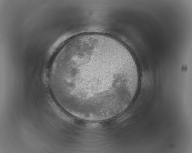 X0000112761454200909171239
