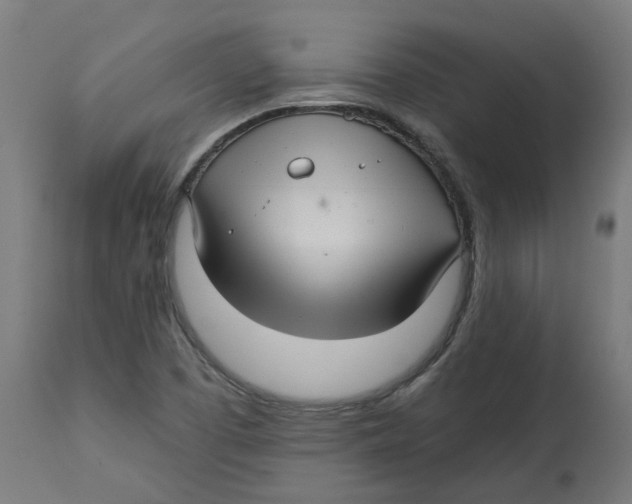 X0000112761457200909171238