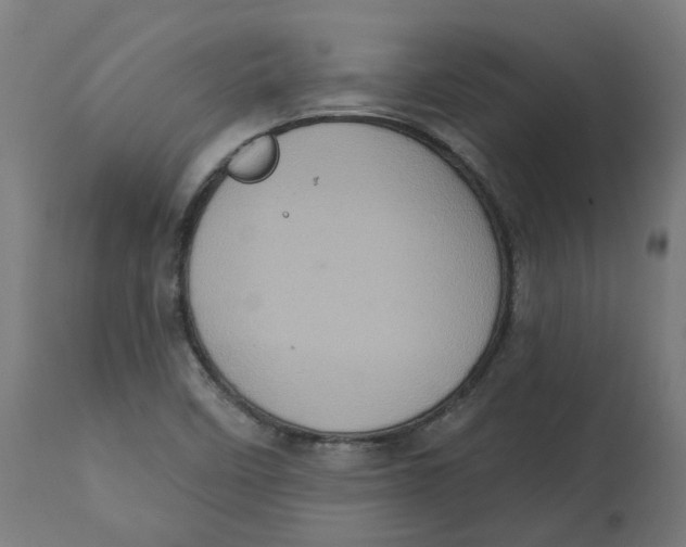 X0000112761458200909171238