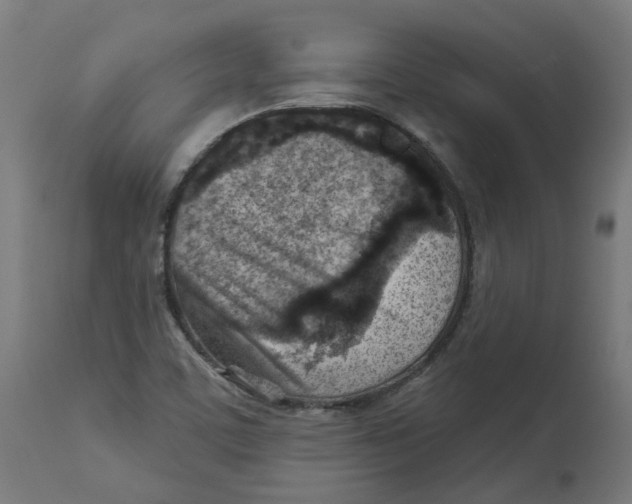 X0000112761459200909171238
