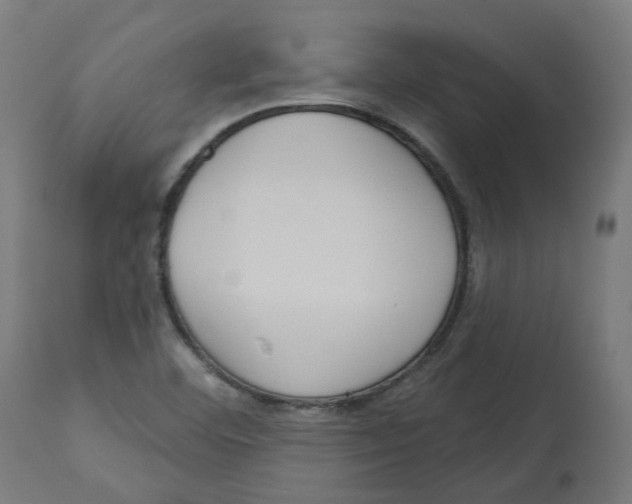 X0000112761460200909171238