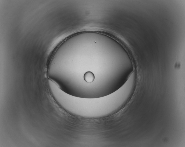 X0000112761461200909171238