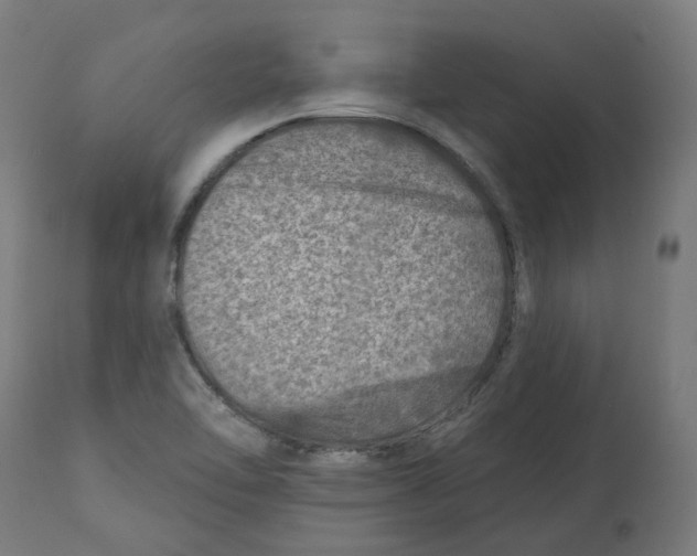 X0000112761462200909171238