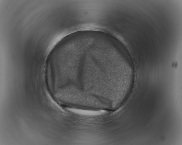 X0000112761463200909171238