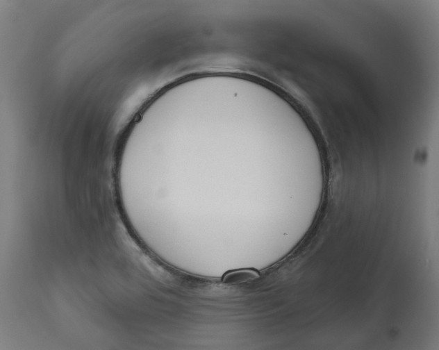 X0000112761464200909171238
