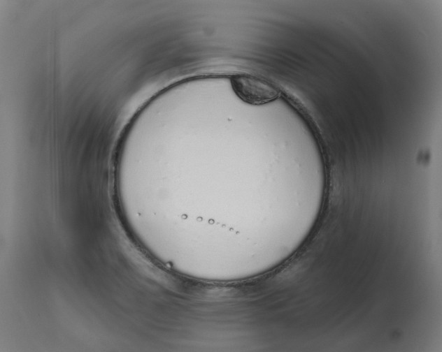 X0000112761467200909171238