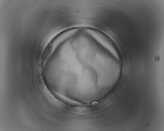 X0000112761468200909171238