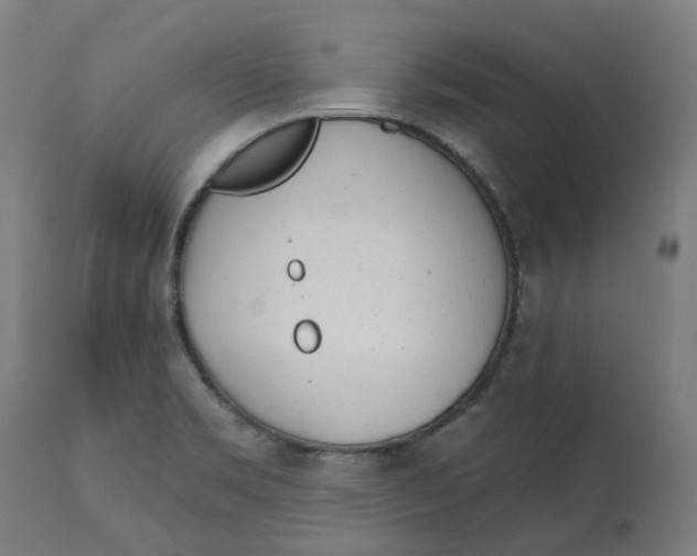 X0000112761469200909171238