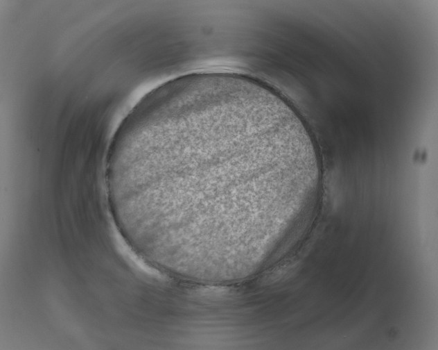 X0000112761470200909171238