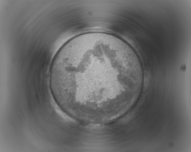 X0000112761474200909171238