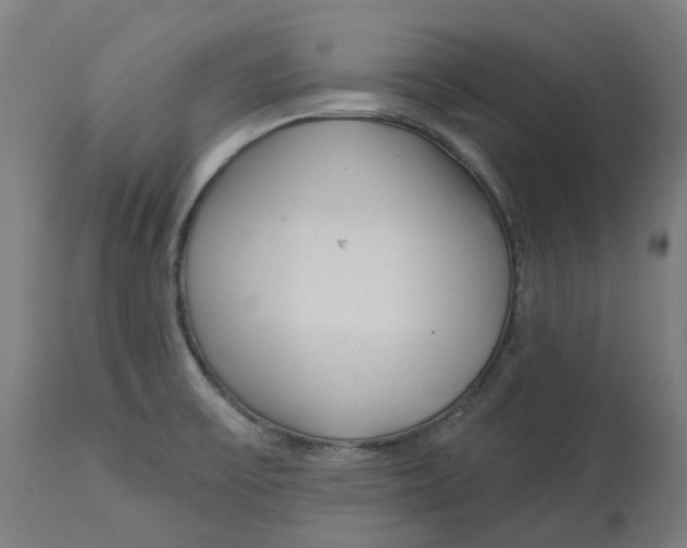 X0000112761475200909171238