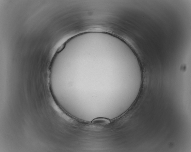 X0000112761476200909171238