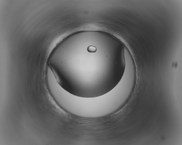 X0000112761477200909171238