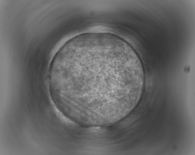 X0000112761478200909171238