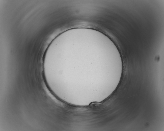 X0000112761479200909171238