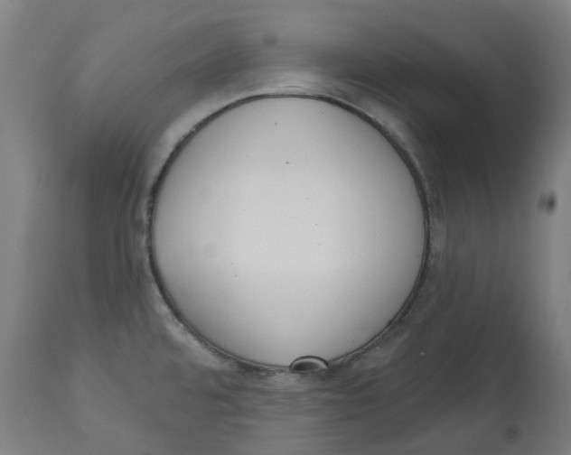X0000112761480200909171238