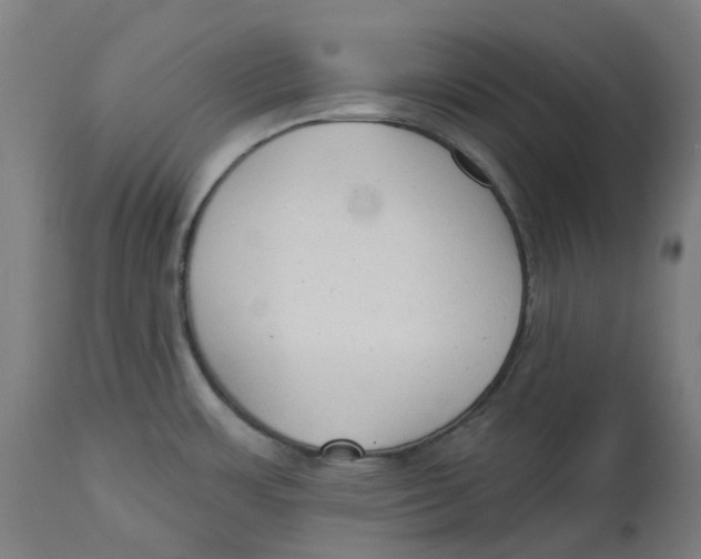 X0000112761483200909171238