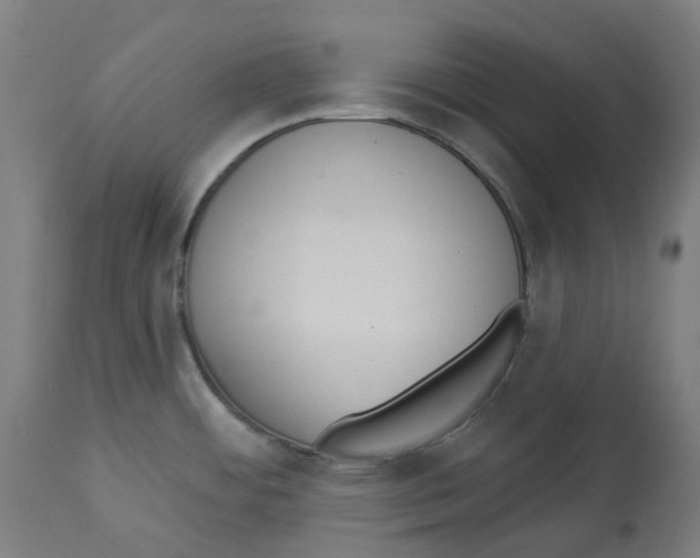 X0000112761484200909171238