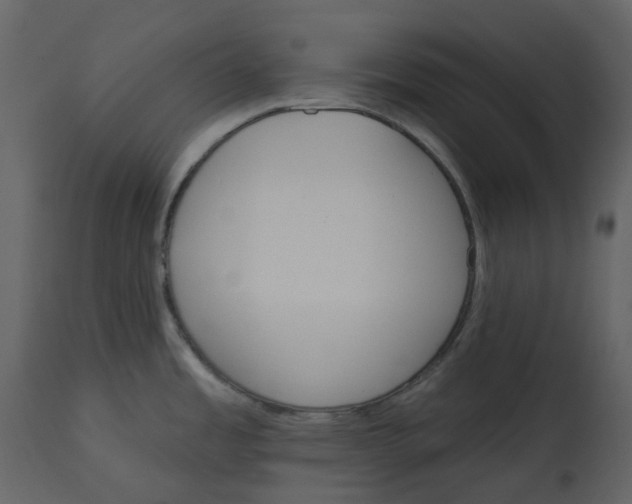 X0000112761485200909171238