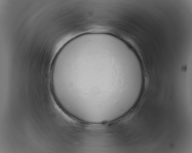 X0000112761487200909171238