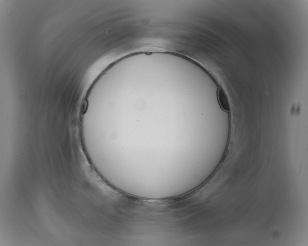X0000112761488200909171238