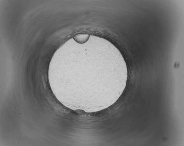 X0000112761489200909171237