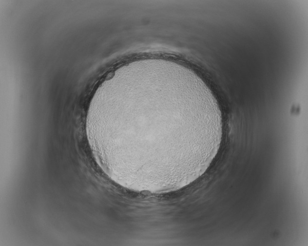 X0000112761493200909171237