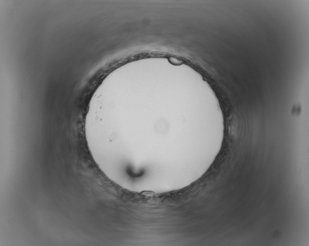 X0000112761495200909171237
