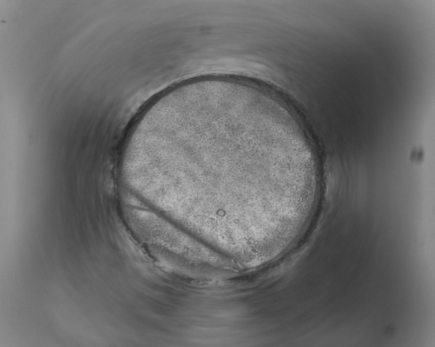 X0000112761497200909171237