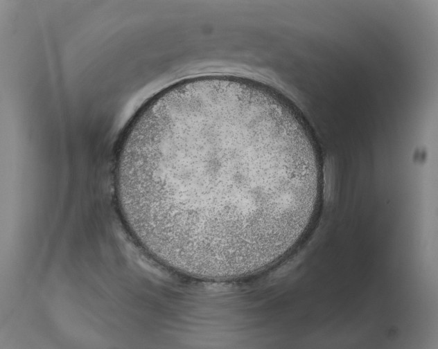 X0000112761501200909171238