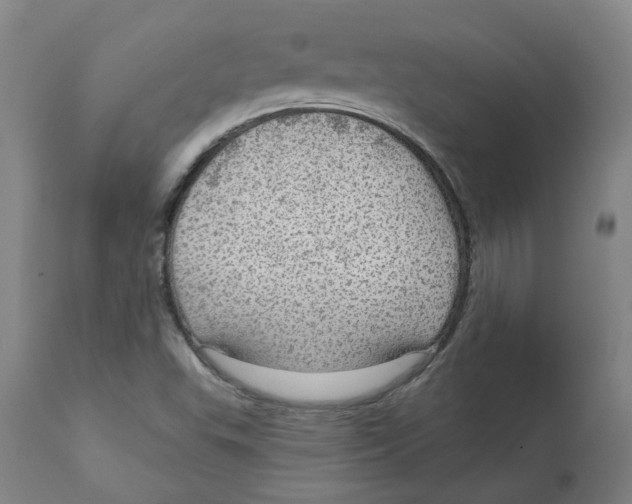 X0000112761503200909171238